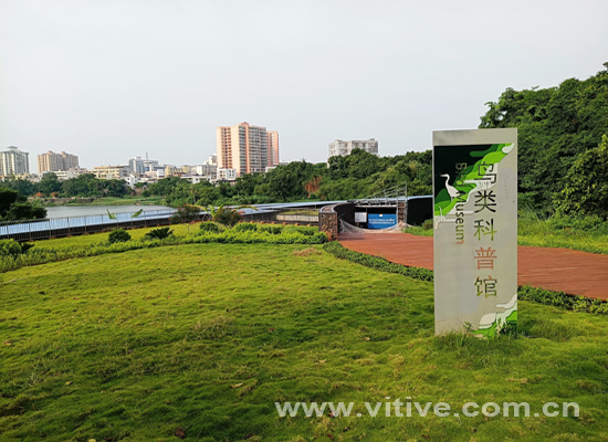 海口美舍河湿地公园5.jpg